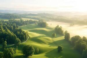 A serene aerial view of a tranquil farm, muted earthy tones, soft golden-hour light filtering through. photo