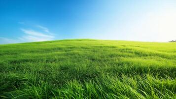 Grass field. Carbon net zero concept background image photo