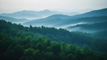 A view of the mountains with trees and fog photo