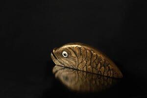 Goldfish, golden reflection, black background, symbol of luck photo