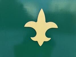 Orleans lily coat of arms on a green background photo