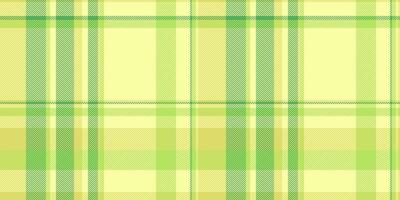 Soft pastel green and yellow plaid pattern. Ideal for textile design, website backgrounds, springsummer themes, and crafting projects. vector