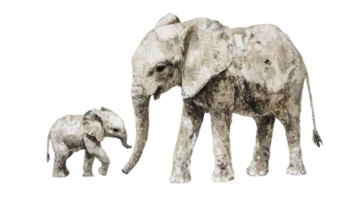 Elephants walking side by side in a harmonious moment of companionship in a serene environment png