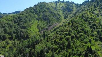 Magnificent mountains covered with green coniferous forest. First person view, climbing high into the mountains by cable car in a funicular cabin video