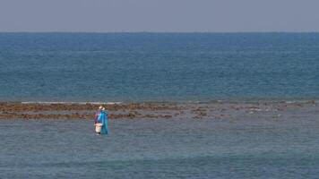 Man with net and bucket entering sea, view from back. He is going to catch shrimp or other small sea creatures. video