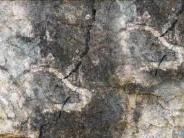 A close up of a rock with some paint on it video