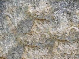 A close up of a rock wall with many different patterns video