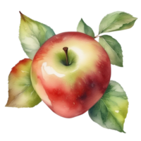 watercolor illustration of apple with leaves on transparent background png
