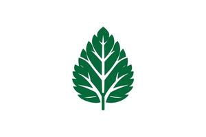 A green leaf logo on a white background vector