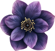 A captivating close-up of a vibrant purple flower with delicate petals arranged artfully around a striking golden center png
