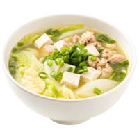 Delicious Asian Noodle Soup with Tofu and Pork in White Bowl png