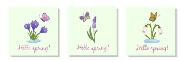 Set of spring cards with flowers and butterflies on a light green background. The first spring flowers are snowdrops and crocuses and purple celosia. vector