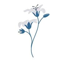 Simple illustration of white lilies. Perfect for creating minimalist and modern floral designs. vector