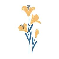 Simple illustration of yellow lilies. Perfect for creating minimalist and modern floral designs. vector