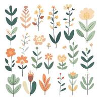 Set of elements from leaves, branches and flowers, flat, colored vector