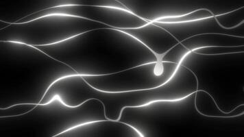 white color glowing abstract wavy lines abstract design loop able dark geometrical background video