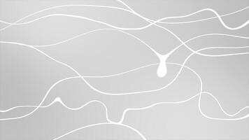 white color abstract wavy lines abstract design loop able geometrical background video