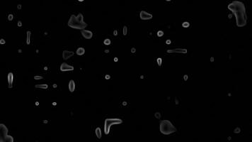white color transparent water droplets appearing and disappearing abstract design loop able dark background video