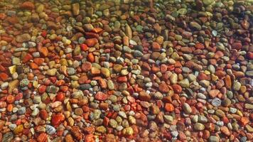 colorful round rocks at the beach lit by sun light through thin layer of water with mild surf waves, closeup full-frame background video