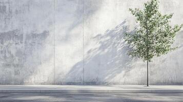 Lone tree stands against textured wall, casting delicate shadows. Serene, urban, and natural elements coexist in balanced composition. photo