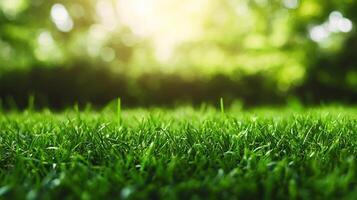 Close-up on a lush green lawn with blades of grass in sharp focus, and a soft, out-of-focus background of trees bathed in sunlight. photo