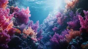 Vibrant underwater world. A stunning coral reef bursting with life and color, creating a beautiful and diverse marine ecosystem. photo