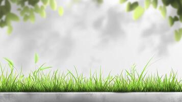 Fresh green grass with soft lighting. A simple scene with potential for adding focus objects, products or text overlays, with a clean presentation. photo