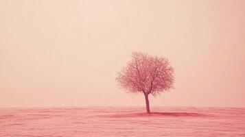 A solitary tree stands in a soft pink landscape, enveloping the scene in warmth and gentle tranquility, inviting contemplation and reflection on solitude and nature. photo
