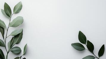 A minimalist image depicting green leaves arranged on a blank background, highlighting natural beauty and tranquility while creating an inviting and calming atmosphere. photo
