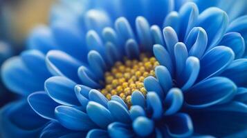 This close-up captures a blue flower with unique petal structures and vibrant colors, highlighting the beauty of nature and the intricate details present in flora. photo
