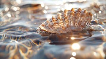 An exquisite close-up of a seashell resting on a shimmering water surface, capturing the transience of nature with reflections that create a magical atmosphere. photo