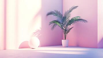 This image features a delicate plant set in a soft pink minimalist environment, where gentle shadows add depth, creating a serene and aesthetically pleasing atmosphere. photo
