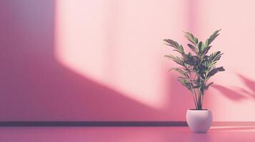 A simple green plant stands in a soft pink environment, showcasing the beauty of minimalism and the calming effect of gentle colors and natural elements in design. photo