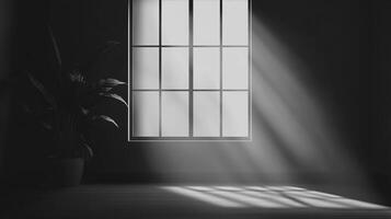 Dark room illuminated by sunlight streaming through a window, highlighting a plant in shadow. Serene, minimalist interior. Contrast of light and darkness. photo