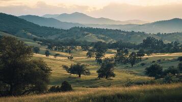 Rolling hills landscape with scattered trees and distant mountains under a soft, hazy sunlight, evoking serenity and natural beauty. photo