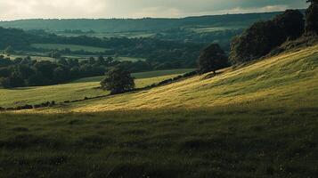 Rolling hills covered in lush green grass and scattered with trees under a partly cloudy sky, casting shadows on the landscape. photo