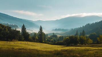 A serene meadow landscape bathed in the soft glow of early morning, with mist-shrouded mountains in the distance, creating a peaceful scene. photo
