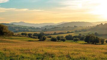 Rolling hills with golden grass and scattered trees under a soft, warm sky. A tranquil countryside scene with a distant mountain silhouette. photo
