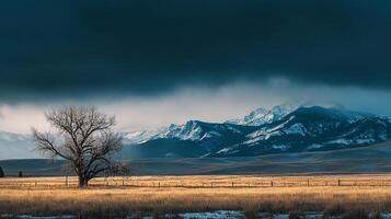 Lone tree in golden field, under dark clouds, with snow capped mountains. Serene landscape with a dramatic sky. photo