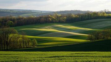 Rolling green hills and fields, showcasing the beauty of nature with trees in the foreground and background under a cloudy sky. photo