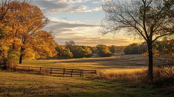 Golden hour bathes an open field in warm light, trees in autumn colors frame the scene, and a rustic fence adds to the pastoral tranquility. photo