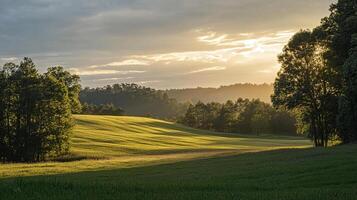Golden hour illuminates a serene meadow, casting long shadows and highlighting the gentle hills in the distance with trees and cloudscape. photo