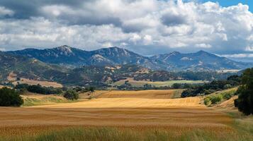 Scenic landscape showcasing golden fields leading to rolling hills and mountains under a dynamic cloudy sky, creating a serene vista. photo