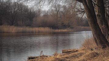Calm river scene with trees and reeds on the banks, capturing a peaceful waterside landscape, a serene moment in nature's embrace. photo
