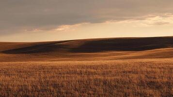 Golden landscape with grassy plains and rolling hills underneath a soft sky with clouds, casting shadows over the serene scenery. photo