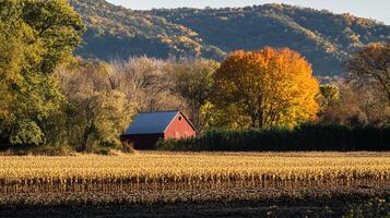 Autumn field view with red barn amidst colorful foliage and rolling hills backdrop on sunny day, showcasing rural charm. photo