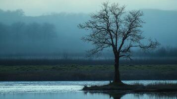 A solitary tree stands silhouetted against a misty horizon, its bare branches reaching towards the muted sky, reflected in calm waters. photo
