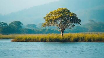 A solitary tree stands gracefully on a grassy islet in the tranquil lake, with hazy mountains in the background, creating a serene scene. photo