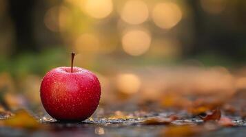 A vibrant red apple, glistening with water droplets, resting on a stone surface amidst a blurred background of autumnal hues and bokeh lights. photo