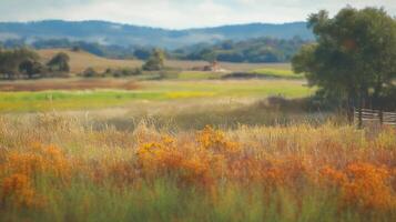 Vibrant meadow with autumnal colors, wildflowers, and distant mountains under a soft, hazy sky, capturing the essence of rural tranquility. photo